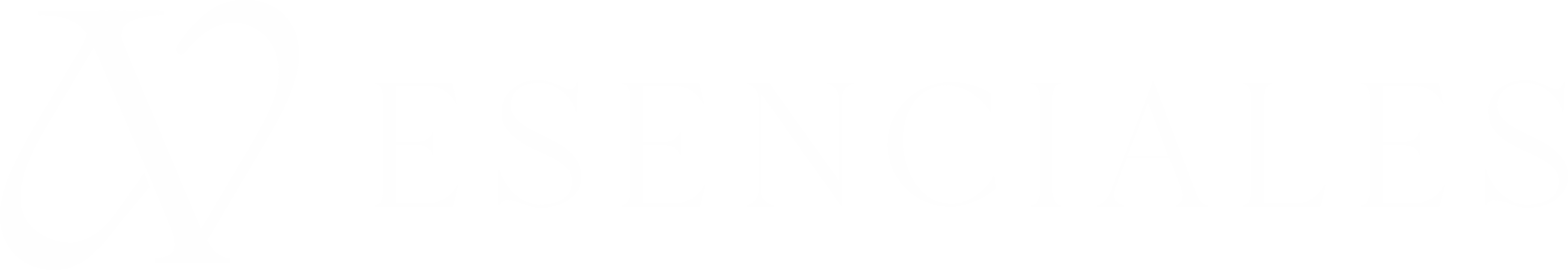 AV Esenciales